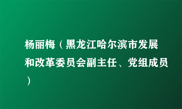 杨丽梅（黑龙江哈尔滨市发展和改革委员会副主任、党组成员）