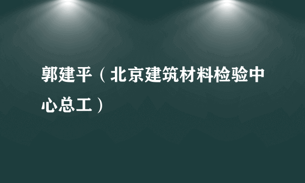 郭建平（北京建筑材料检验中心总工）