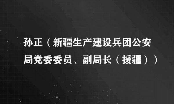 孙正（新疆生产建设兵团公安局党委委员、副局长（援疆））