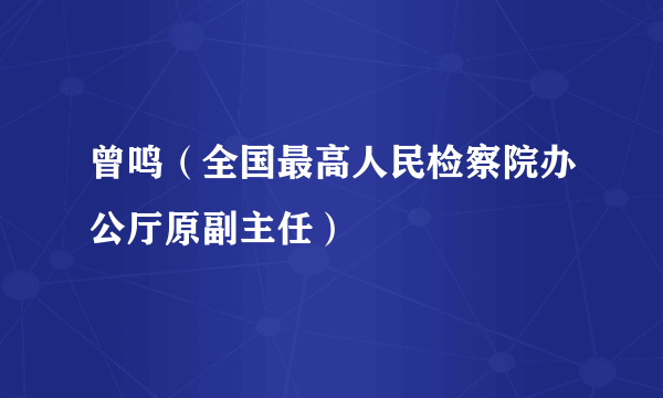 曾鸣（全国最高人民检察院办公厅原副主任）