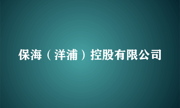 保海（洋浦）控股有限公司