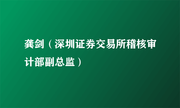 龚剑（深圳证券交易所稽核审计部副总监）