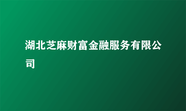 湖北芝麻财富金融服务有限公司