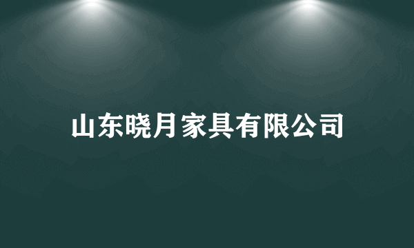 山东晓月家具有限公司