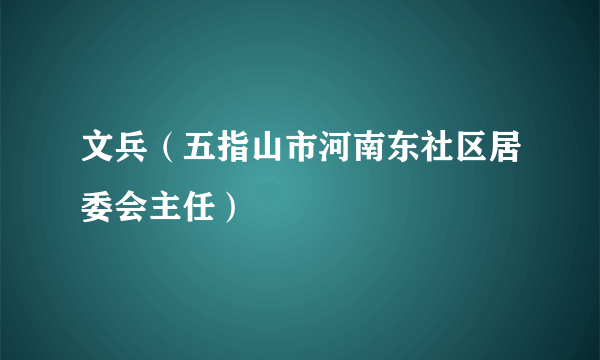 文兵（五指山市河南东社区居委会主任）