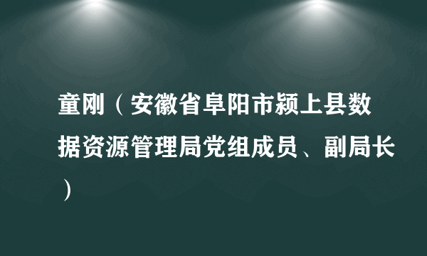 童刚（安徽省阜阳市颍上县数据资源管理局党组成员、副局长）