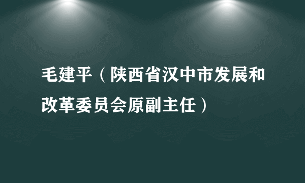 毛建平（陕西省汉中市发展和改革委员会原副主任）