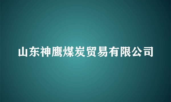 山东神鹰煤炭贸易有限公司