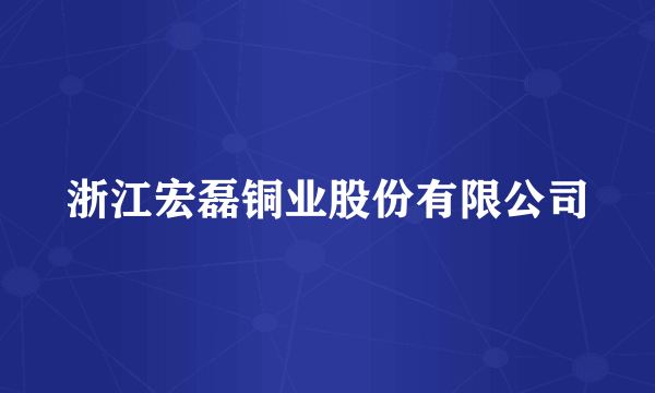 浙江宏磊铜业股份有限公司