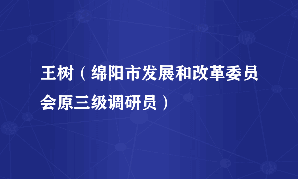 王树（绵阳市发展和改革委员会原三级调研员）