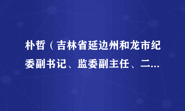 朴哲（吉林省延边州和龙市纪委副书记、监委副主任、二级监察官）