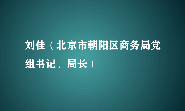 刘佳（北京市朝阳区商务局党组书记、局长）