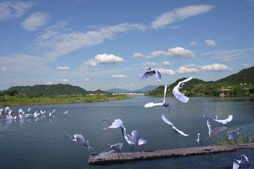 白鹭岛生态旅游风景区