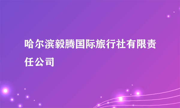 哈尔滨毅腾国际旅行社有限责任公司