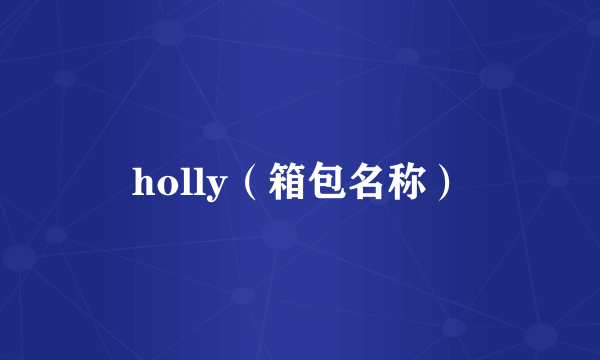 holly（箱包名称）