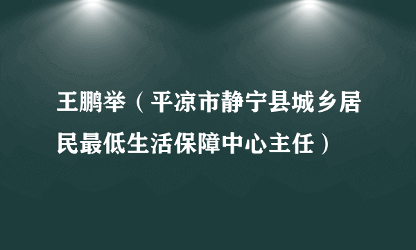 王鹏举（平凉市静宁县城乡居民最低生活保障中心主任）