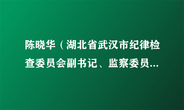 陈晓华（湖北省武汉市纪律检查委员会副书记、监察委员会副主任）