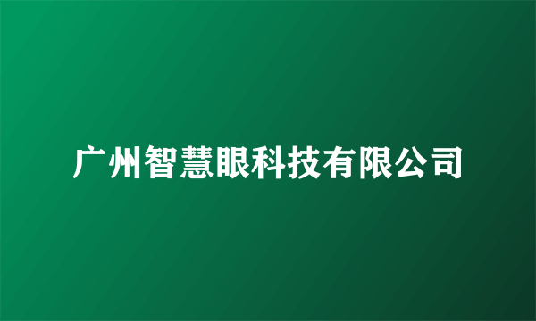 广州智慧眼科技有限公司