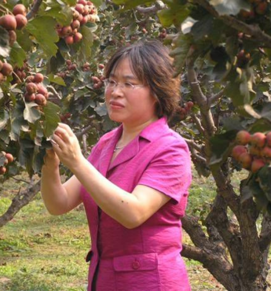 曹慧（潍坊学院生物工程学院院长、教授）