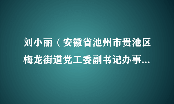 刘小丽（安徽省池州市贵池区梅龙街道党工委副书记办事处主任）