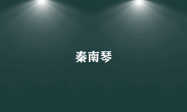 秦南琴