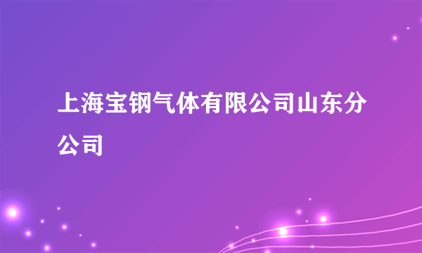 上海宝钢气体有限公司山东分公司