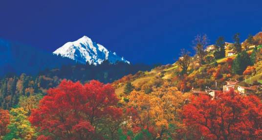 奶子沟彩林景区