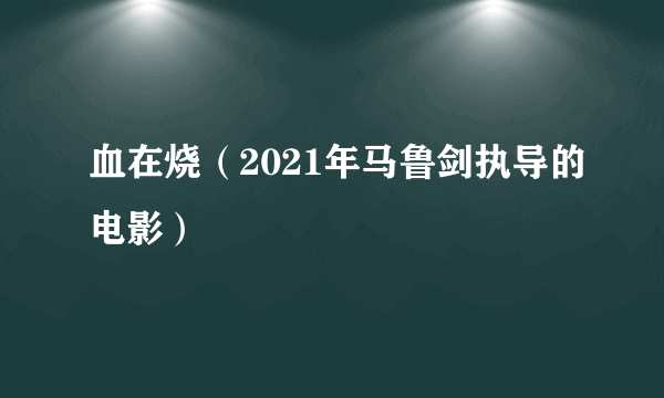 血在烧（2021年马鲁剑执导的电影）