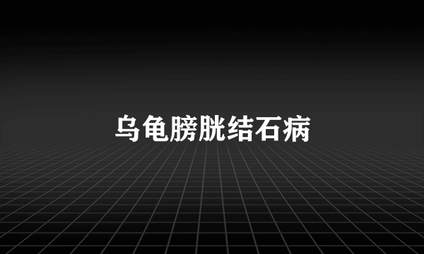 乌龟膀胱结石病