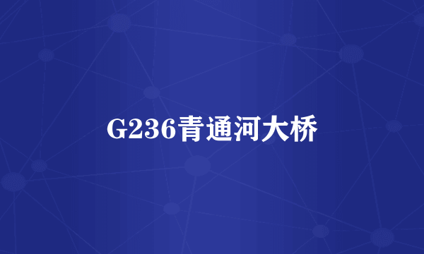 G236青通河大桥