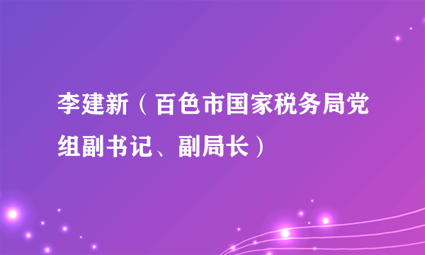 李建新（百色市国家税务局党组副书记、副局长）