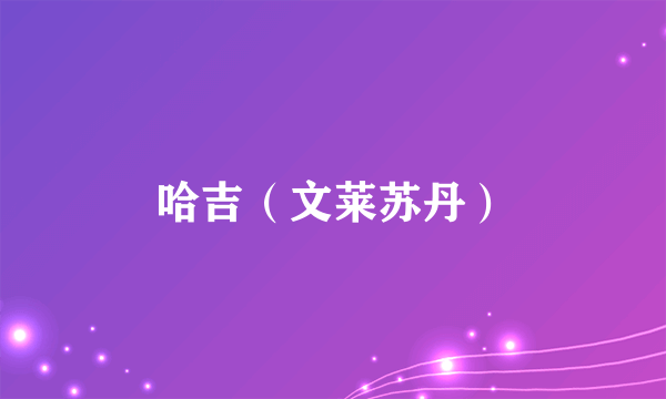 哈吉（文莱苏丹）