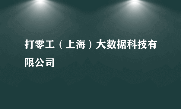 打零工（上海）大数据科技有限公司