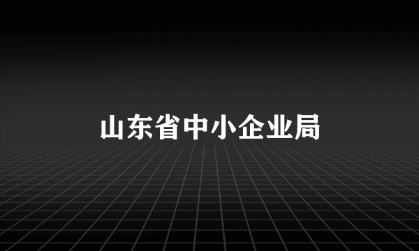 山东省中小企业局