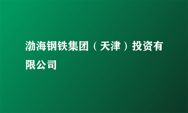 渤海钢铁集团（天津）投资有限公司