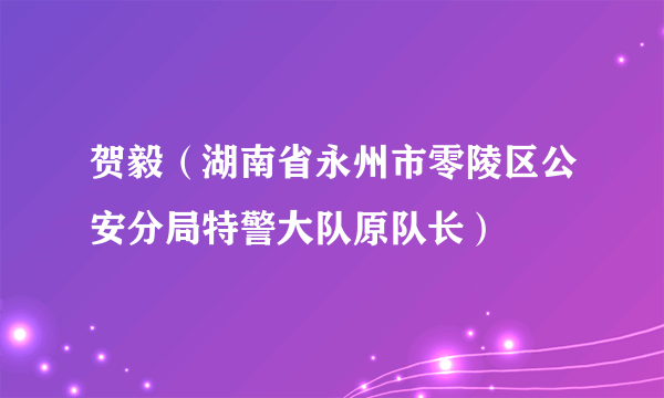 贺毅（湖南省永州市零陵区公安分局特警大队原队长）