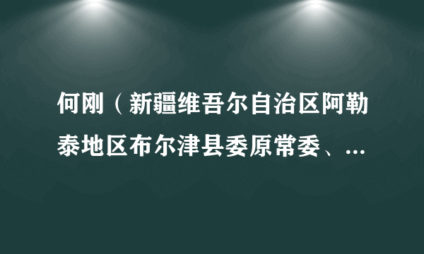 何刚（新疆维吾尔自治区阿勒泰地区布尔津县委原常委、宣传部原部长）