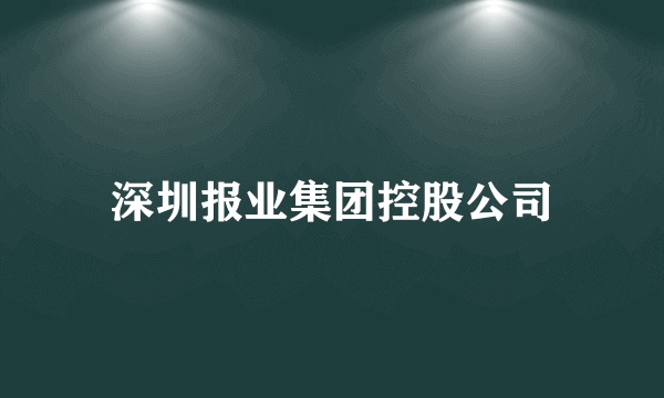 深圳报业集团控股公司