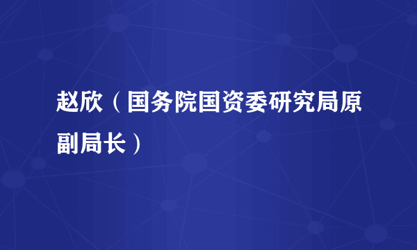 赵欣（国务院国资委研究局原副局长）