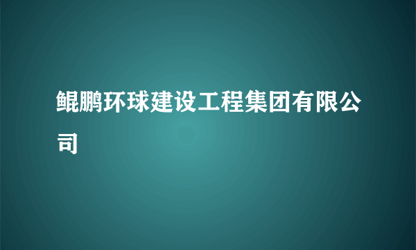 鲲鹏环球建设工程集团有限公司