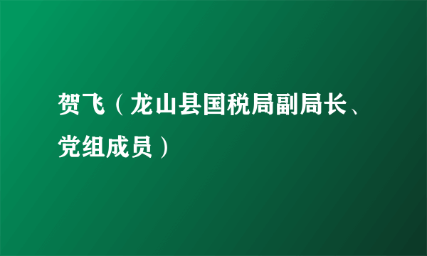 贺飞（龙山县国税局副局长、党组成员）