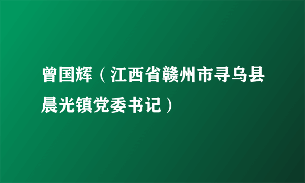 曾国辉（江西省赣州市寻乌县晨光镇党委书记）