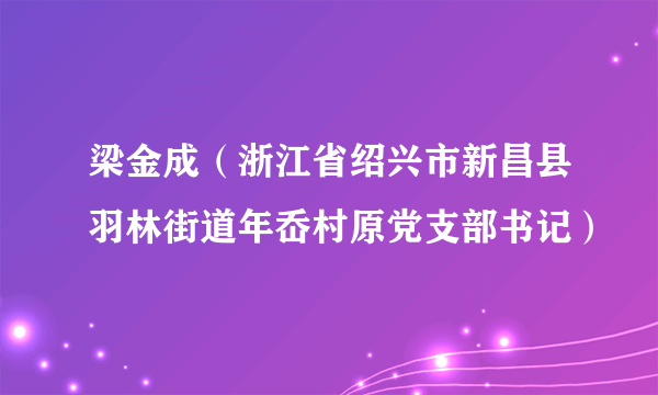 梁金成（浙江省绍兴市新昌县羽林街道年岙村原党支部书记）