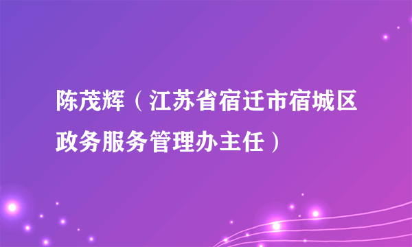 陈茂辉（江苏省宿迁市宿城区政务服务管理办主任）