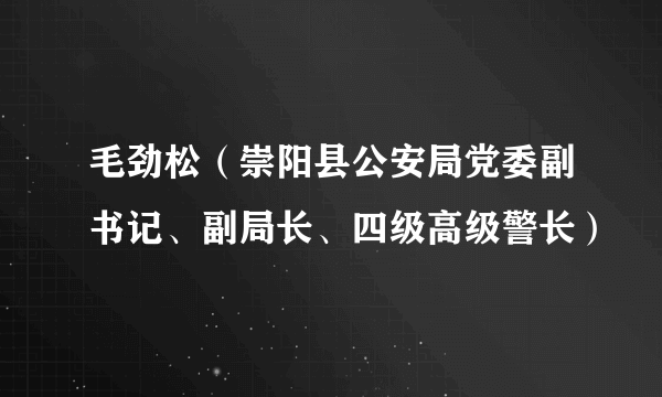 毛劲松（崇阳县公安局党委副书记、副局长、四级高级警长）