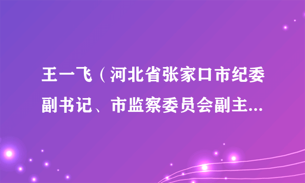 王一飞（河北省张家口市纪委副书记、市监察委员会副主任、一级调研员）