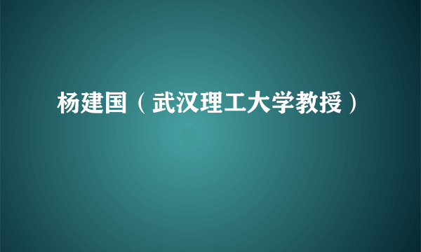 杨建国（武汉理工大学教授）