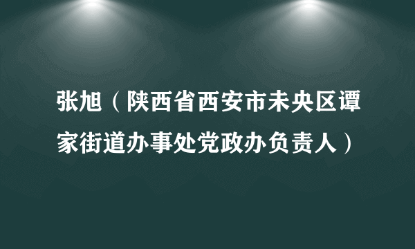 张旭（陕西省西安市未央区谭家街道办事处党政办负责人）