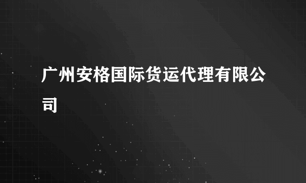 广州安格国际货运代理有限公司