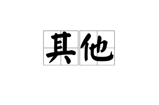 其他（汉语词语）